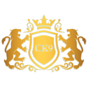 ck9 slot logo