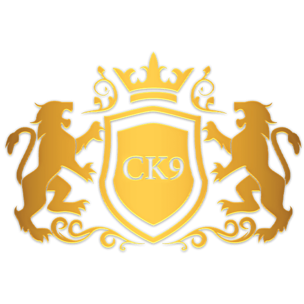 ck9-slot-logo.png