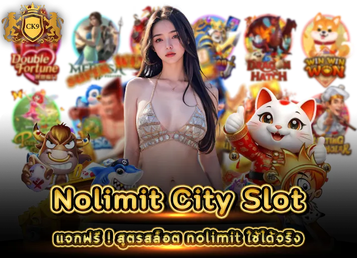 แจกฟรี สูตรสล็อต nolimit ใช้ได้จริง 2569